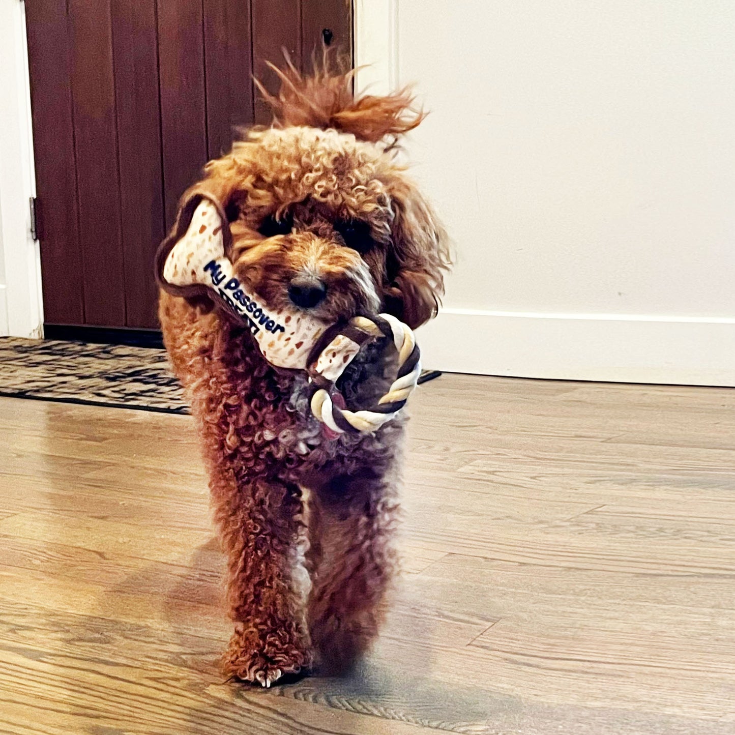 "Chewdaica"™ Passover Bone Squeaky Dog Toy