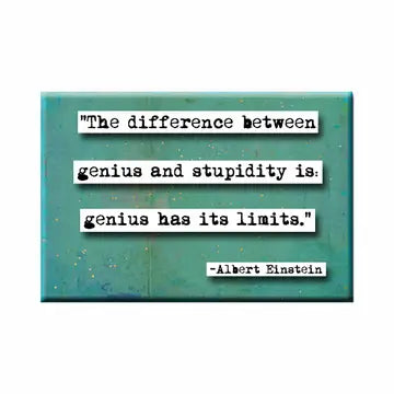 Albert Einstein Quote Magnet