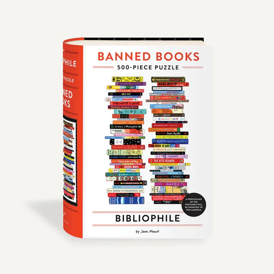 Banned Books Puzzle