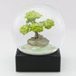 Peaceful Green Bonsai Tree Snowglobe