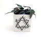 Star of David Planter