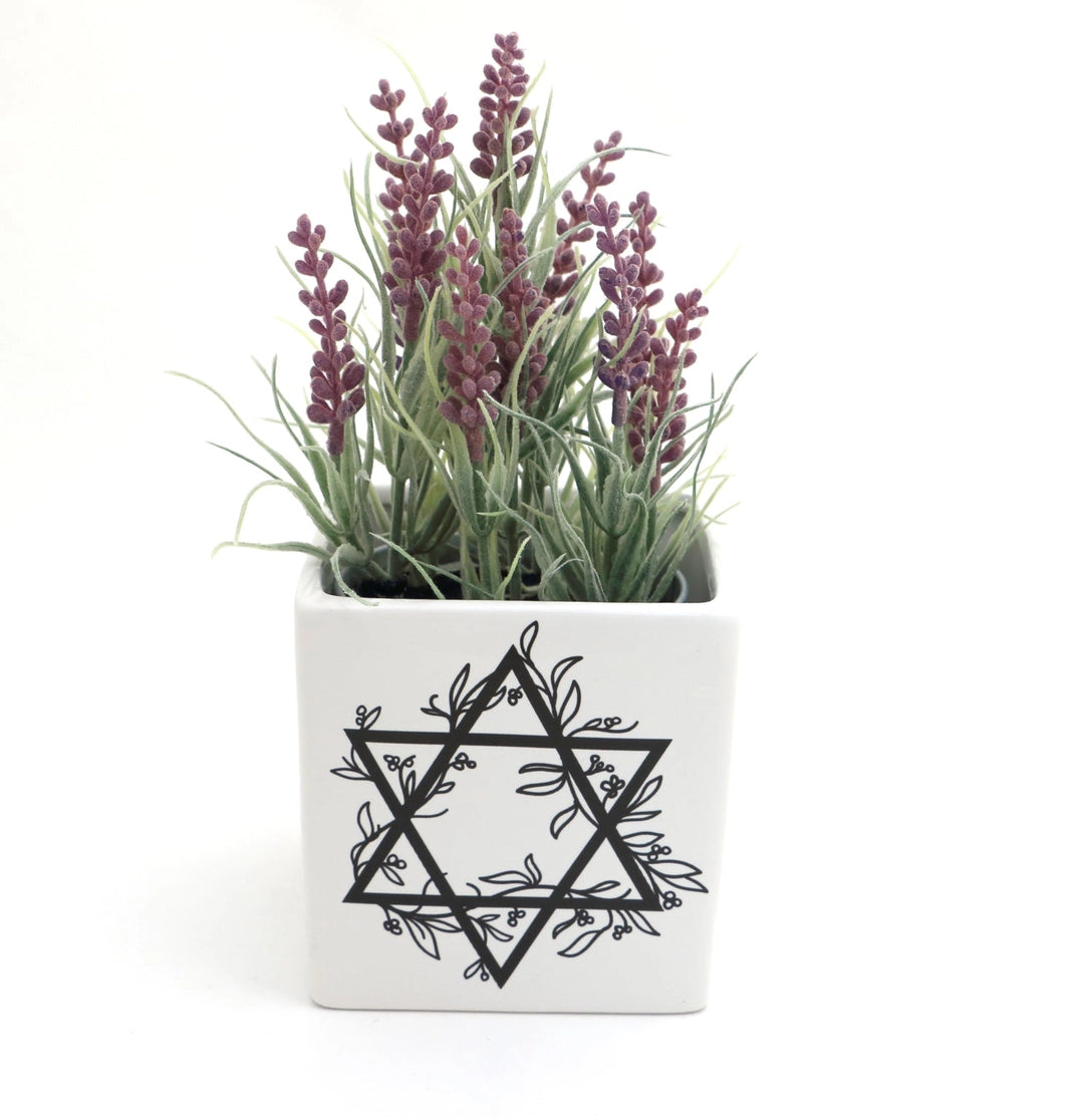 Star of David Planter