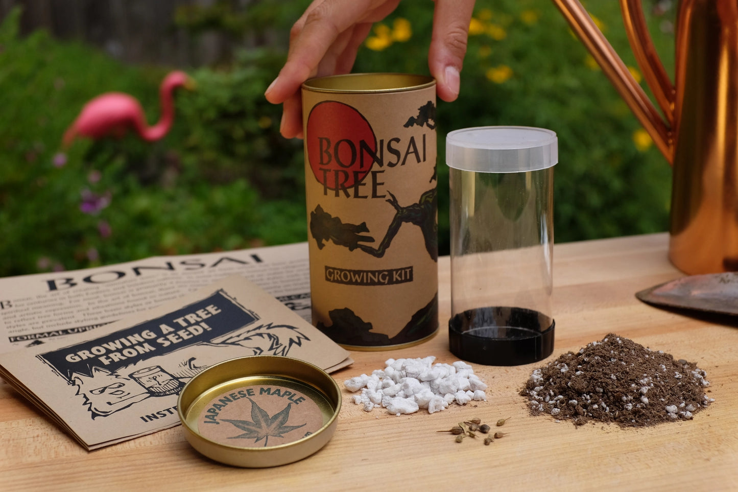 Bonsai Tree | Seed Grow Kit - Chinese Juniper