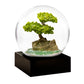 Peaceful Green Bonsai Tree Snowglobe