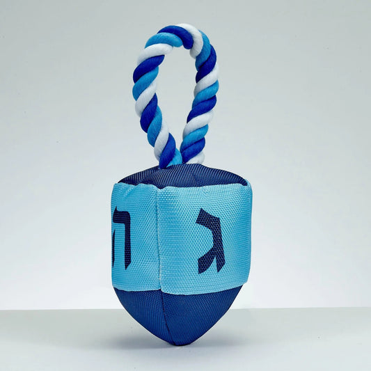 Chewdaica dreidel pull toy