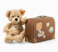 Fynn Teddy Bear in Suitcase, Children's Plush Toy