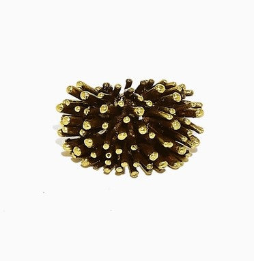 Bronze coral reef ring