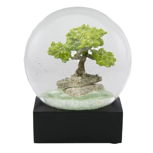 Bonsai Snow Globe
