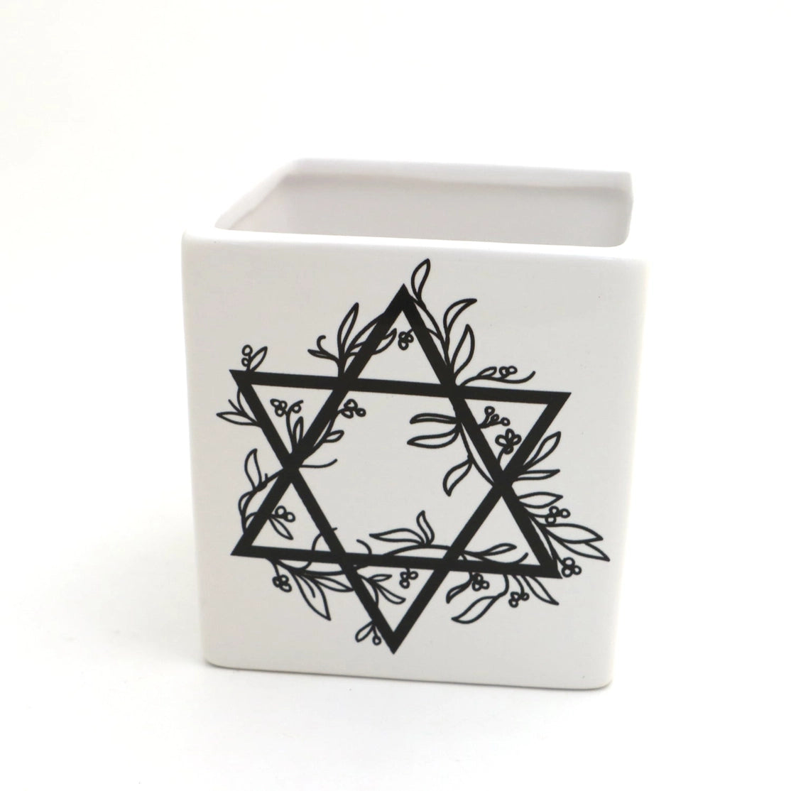 Star of David Planter