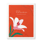 Compendium Greeting Cards