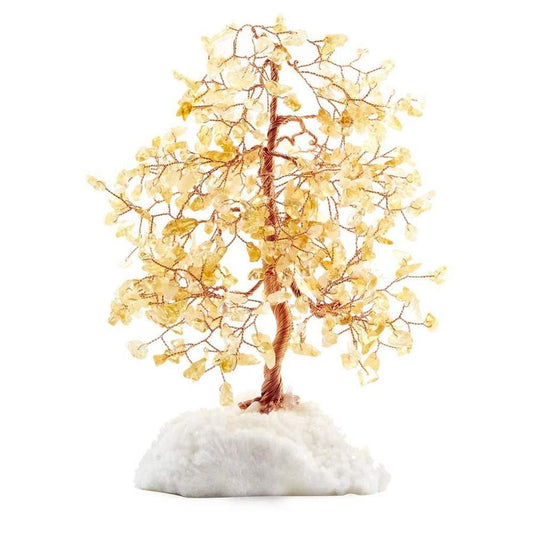 Citrine BL860-1-M